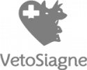 logo-vetosiagne